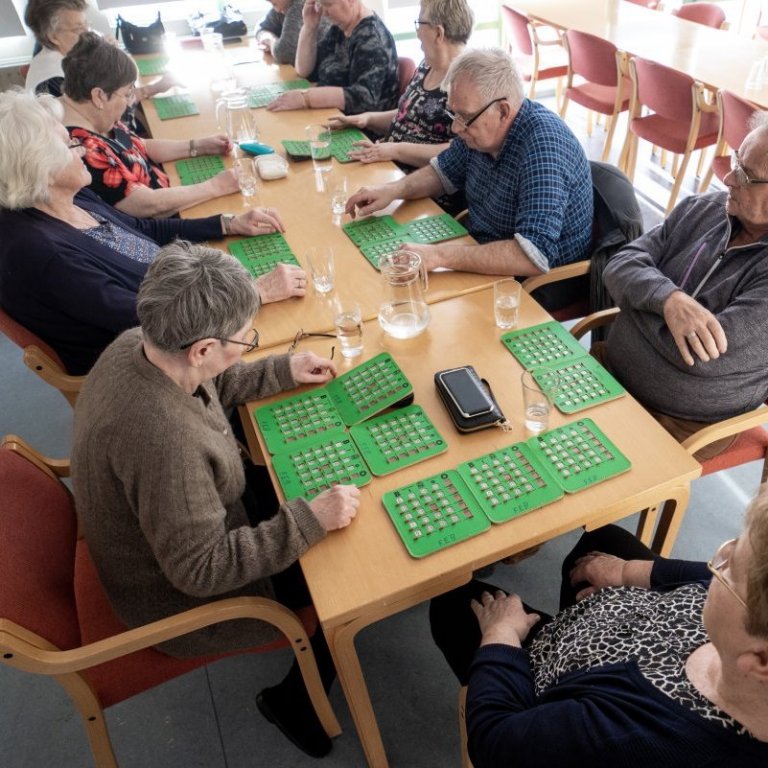 bingo_olo_4