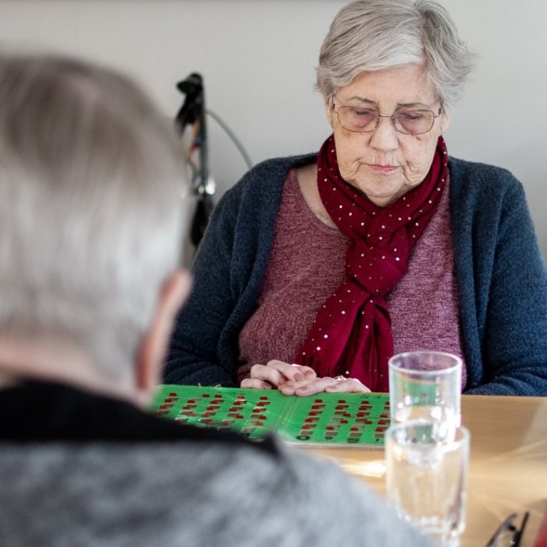 bingo_olo_6