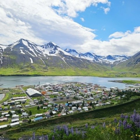 8a5efa74-d8e1-4b9c-98bf-705c41d506b3.jpg