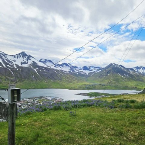 d258cd62-a1f9-4944-a9c2-bcf139845775.jpg